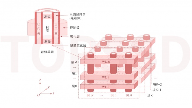 高可靠SSD数据保持解析：天硕存储双重筛选应对电荷侧向迁移
