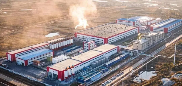 【零碳工厂】95%非化石能源目标下，工厂怎样把绿电变成稳定蒸汽？
